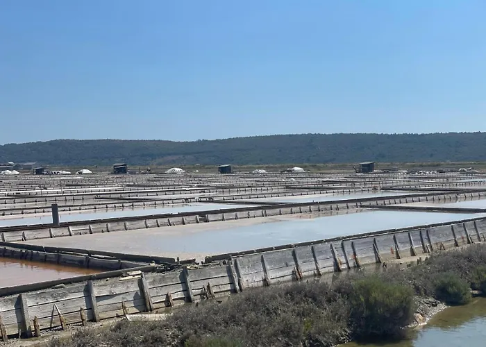 Apartma Sonja Mit Meerblick *